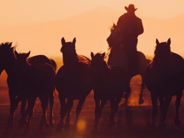 Politics vs Public&nbsp;Health